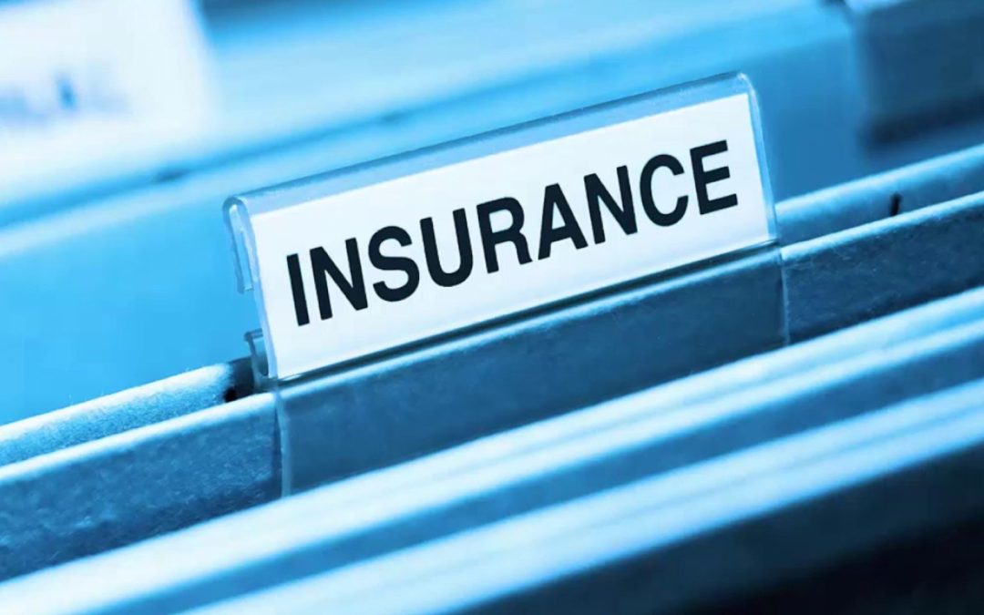 What Types of Insurance Do Most Insurance Companies in Mt Pleasant Offer?